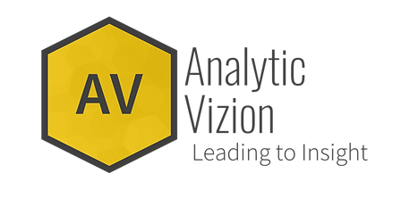 Analytic Vizion logo