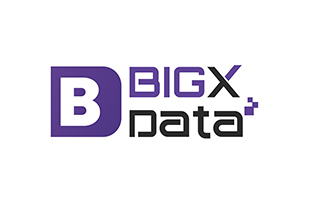 Big X Data logo